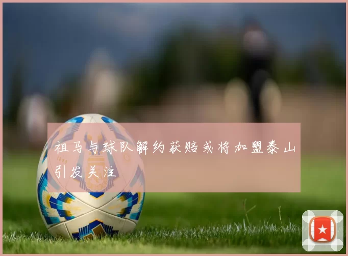 祖马与球队解约获赔或将加盟泰山引发关注