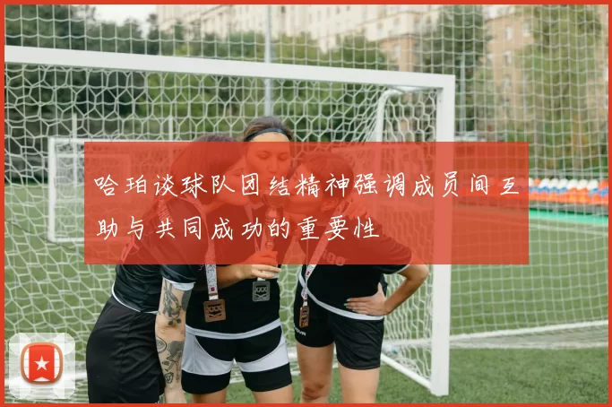 哈珀谈球队团结精神强调成员间互助与共同成功的重要性
