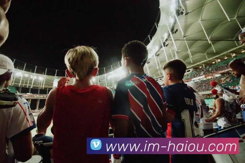 海鸥体育平台生态图