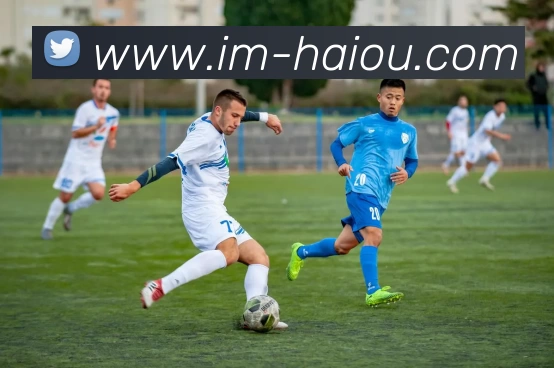 海鸥体育全站App